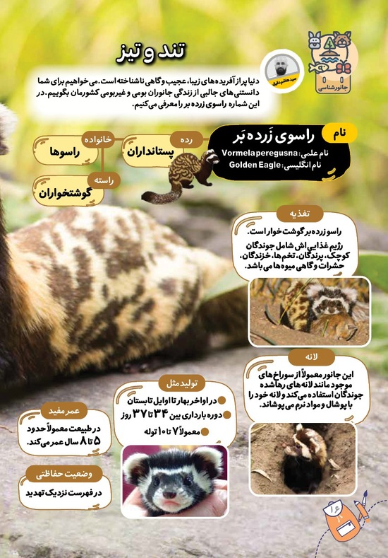 صفحه ۱۸