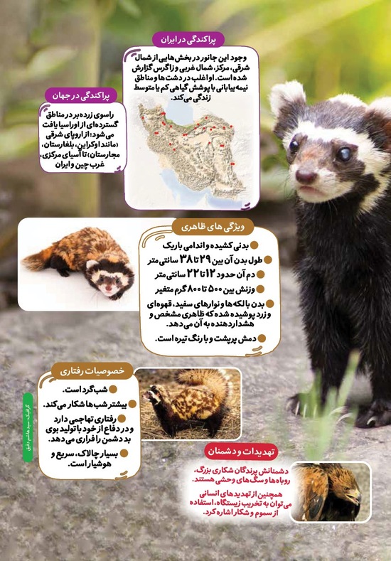 صفحه ۱۹