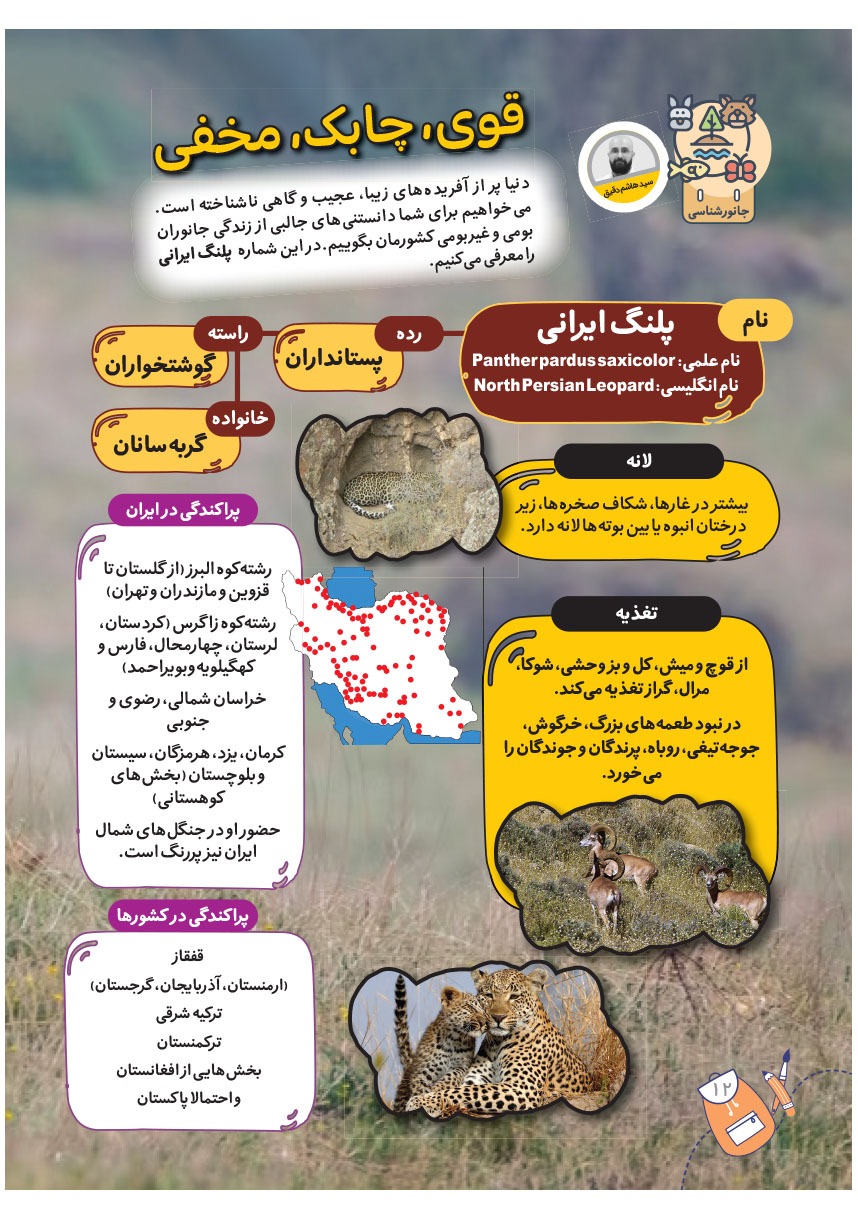 صفحه ۱۴