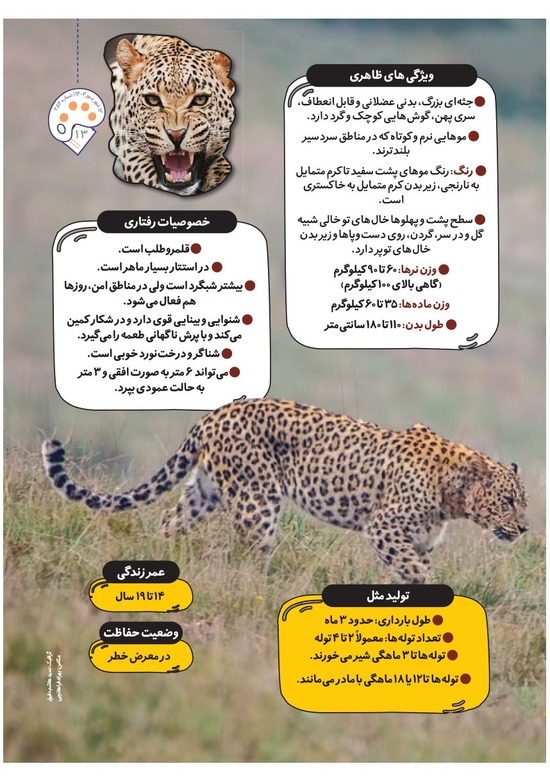 صفحه ۱۵