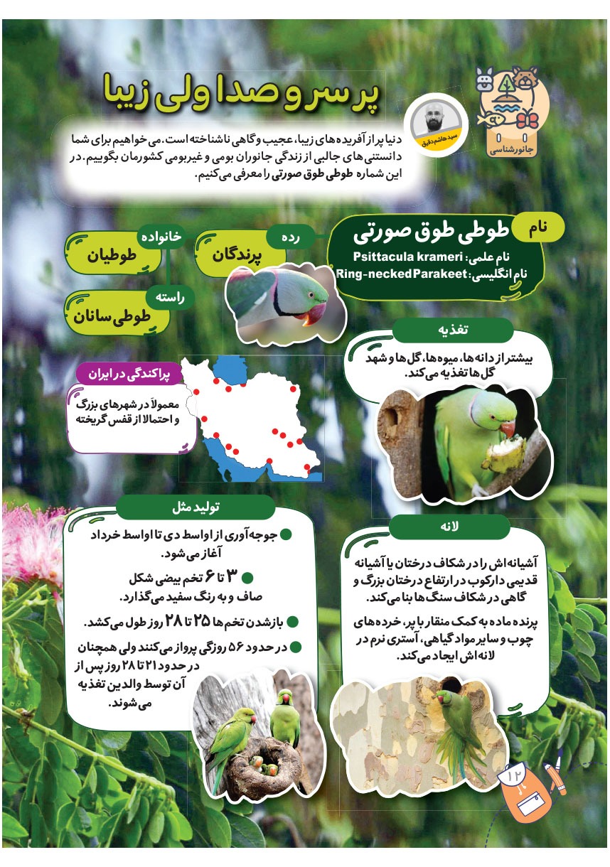 صفحه ۱۴