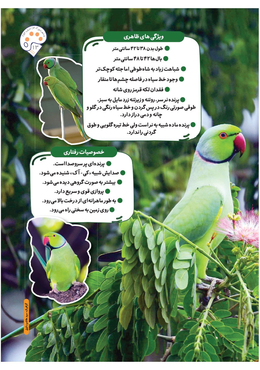 صفحه ۱۵