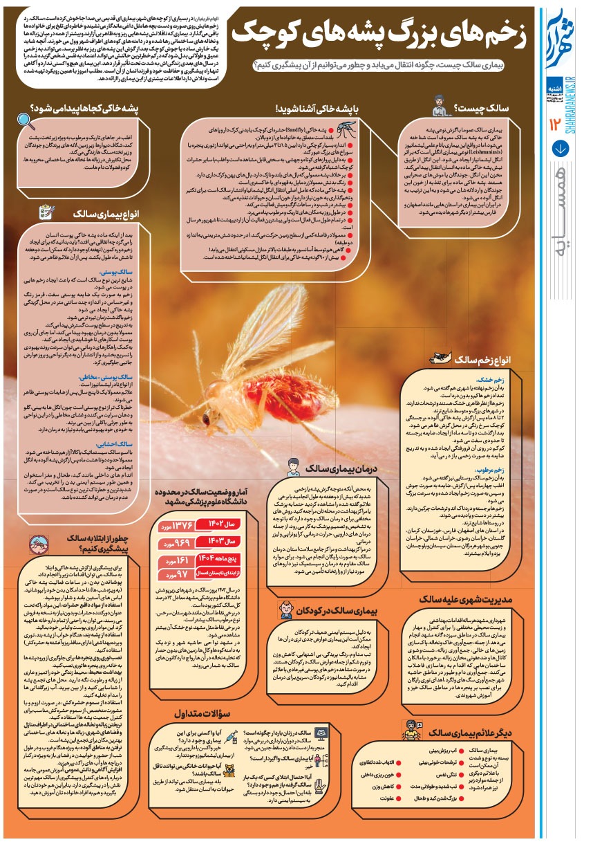 صفحه ۱۲