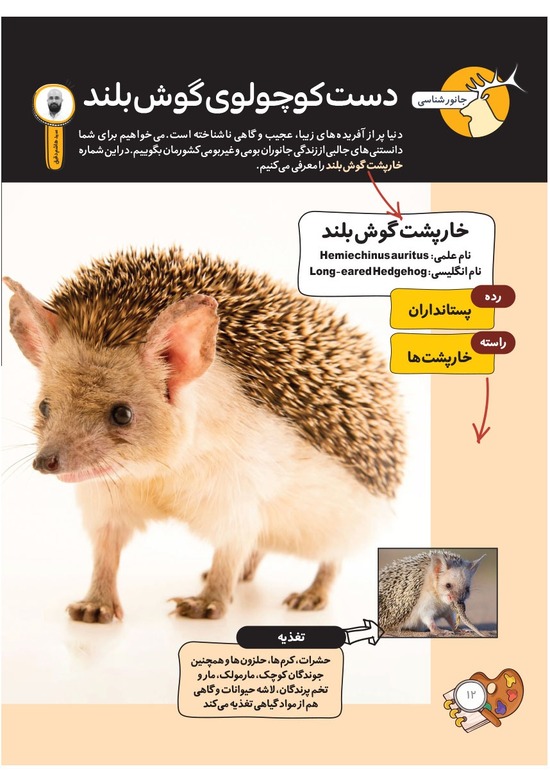 صفحه ۱۴