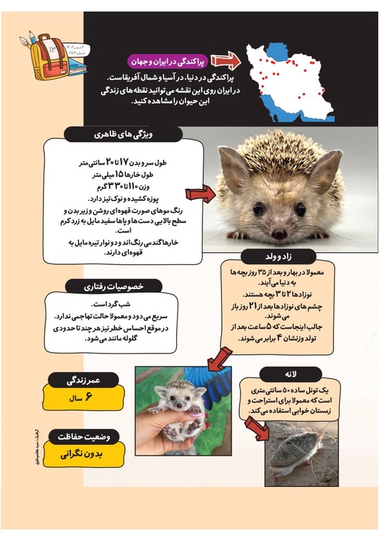 صفحه ۱۵