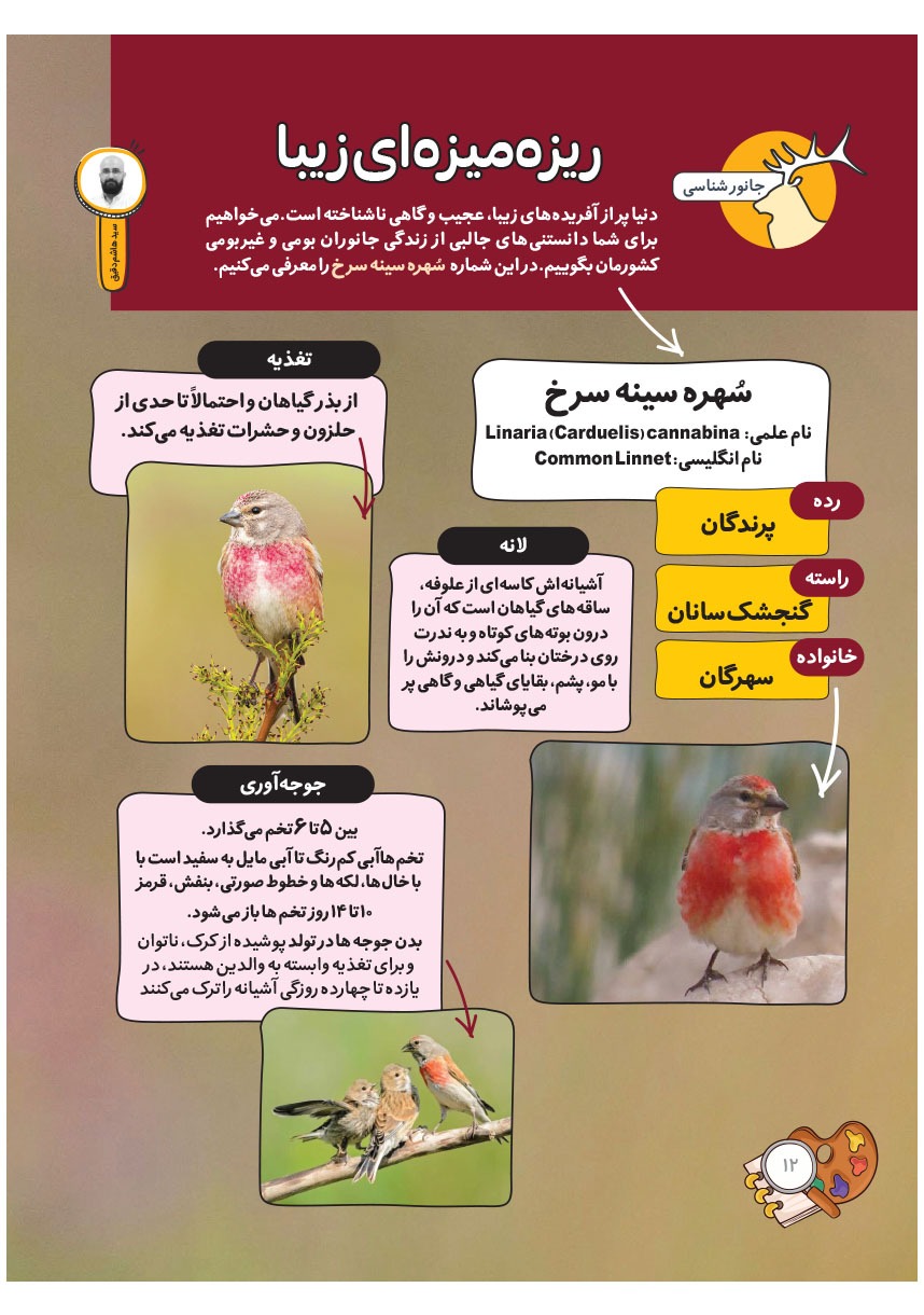 صفحه ۱۴