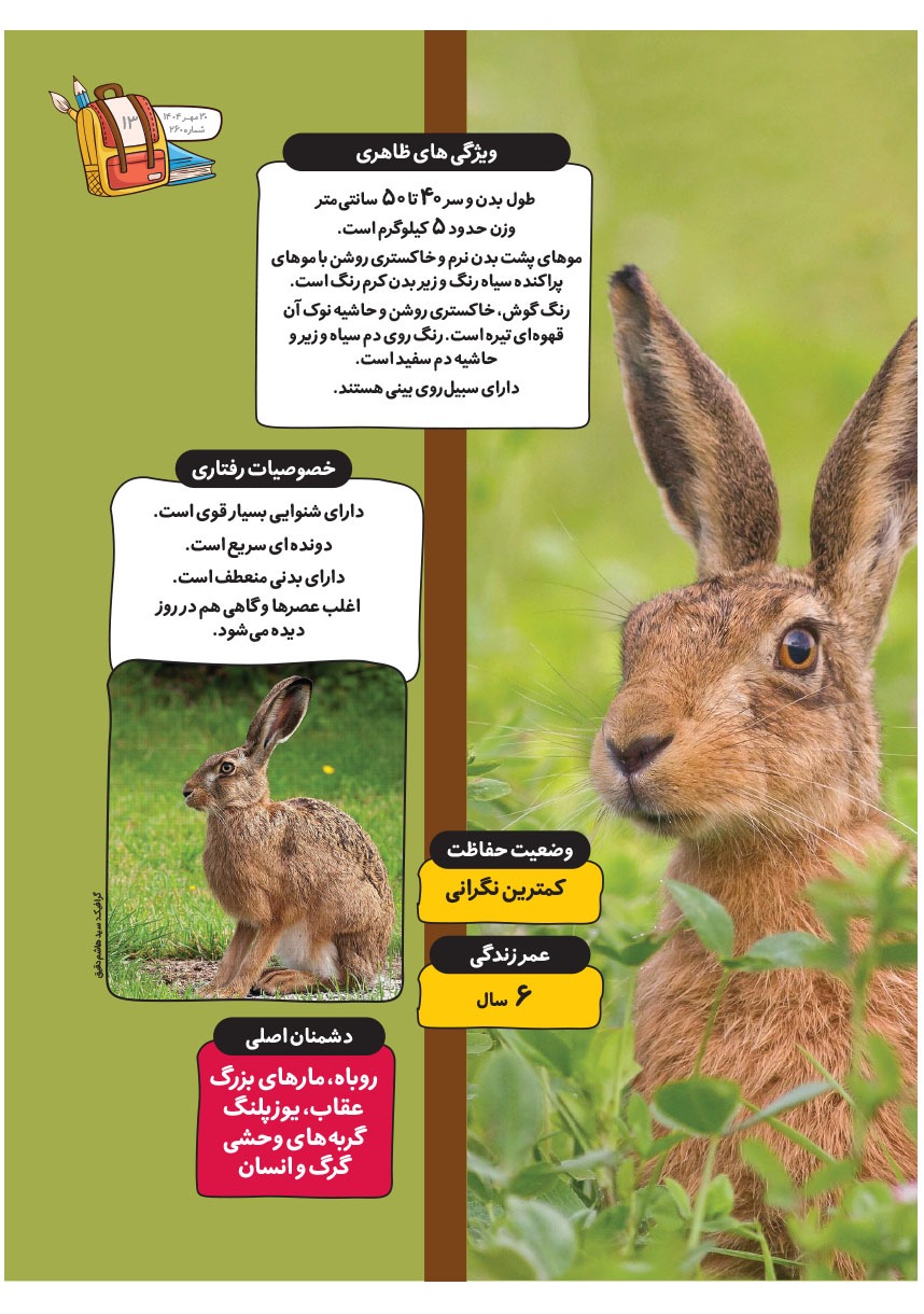 صفحه ۱۵