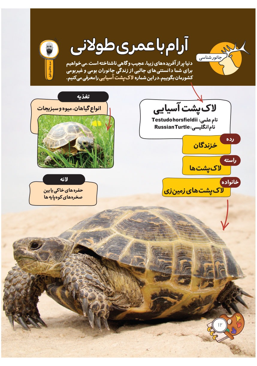 صفحه ۱۴
