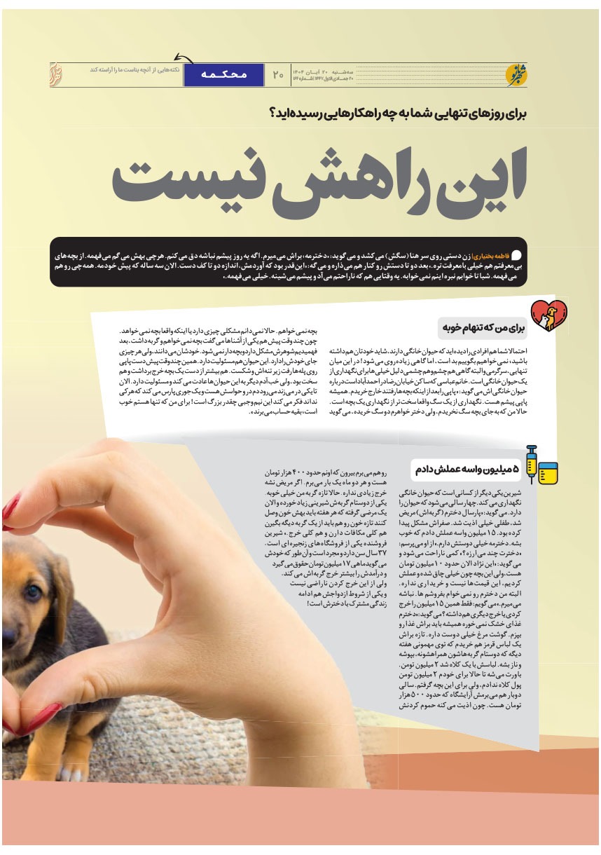 صفحه ۲۰