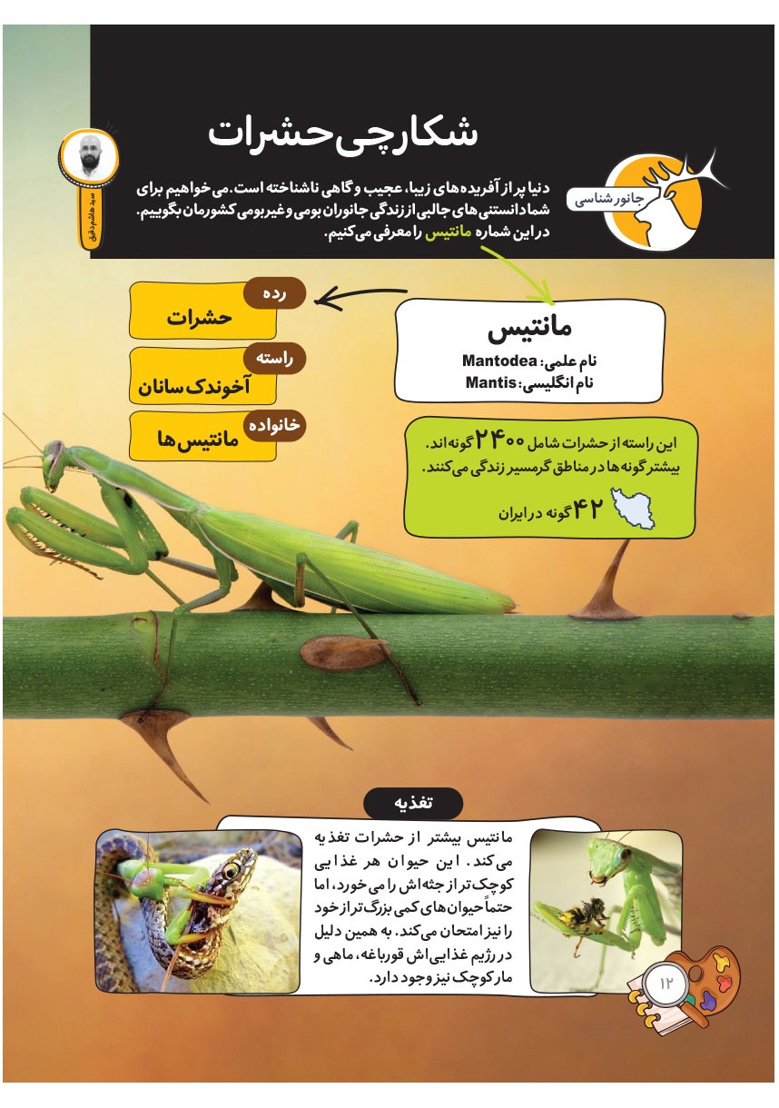 صفحه ۱۴