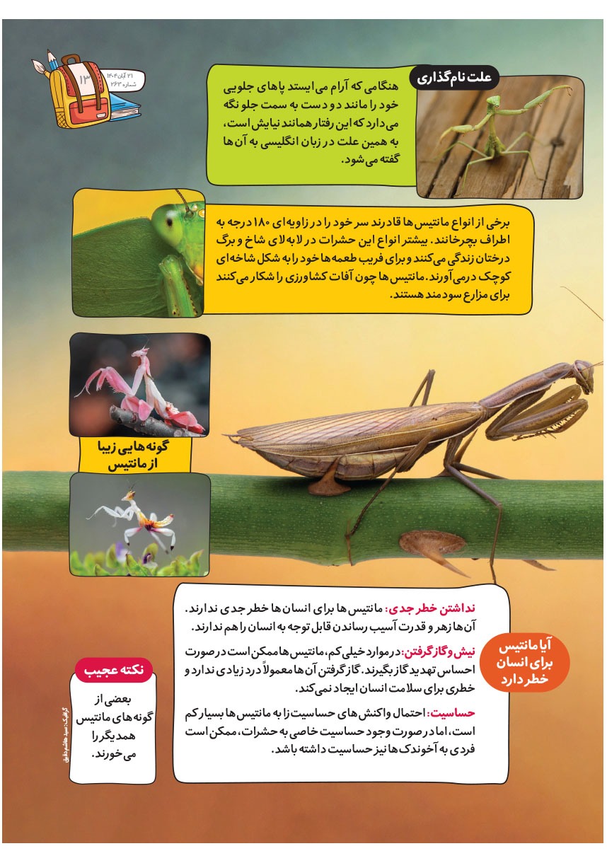 صفحه ۱۵