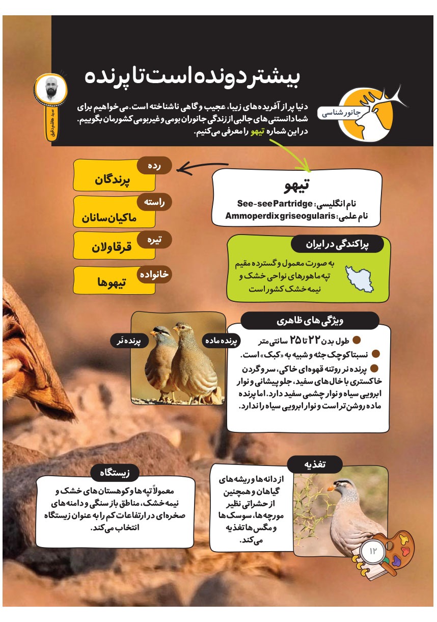 صفحه ۱۴