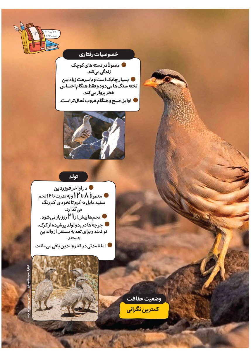 صفحه ۱۵