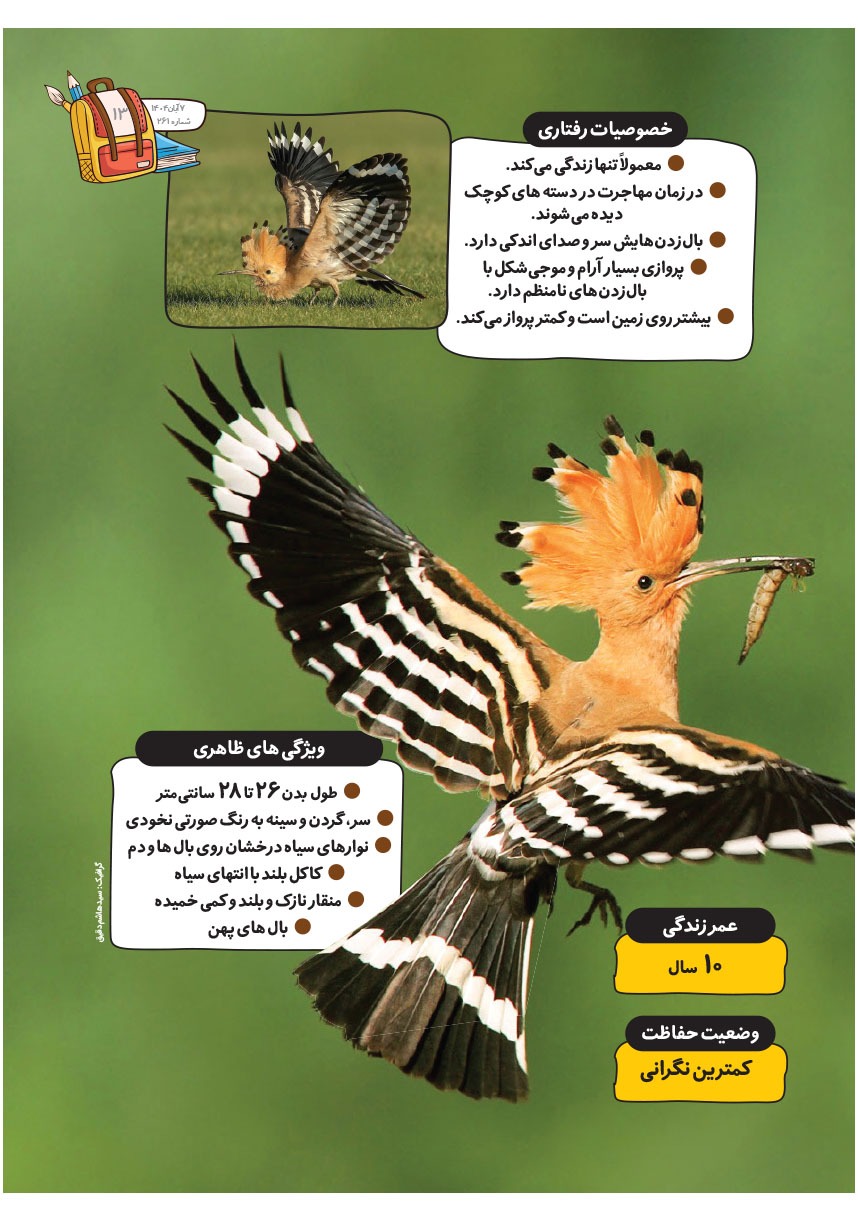 صفحه ۱۵