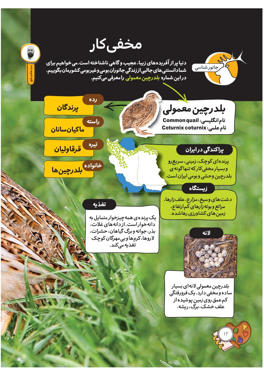 صفحه ۱۴