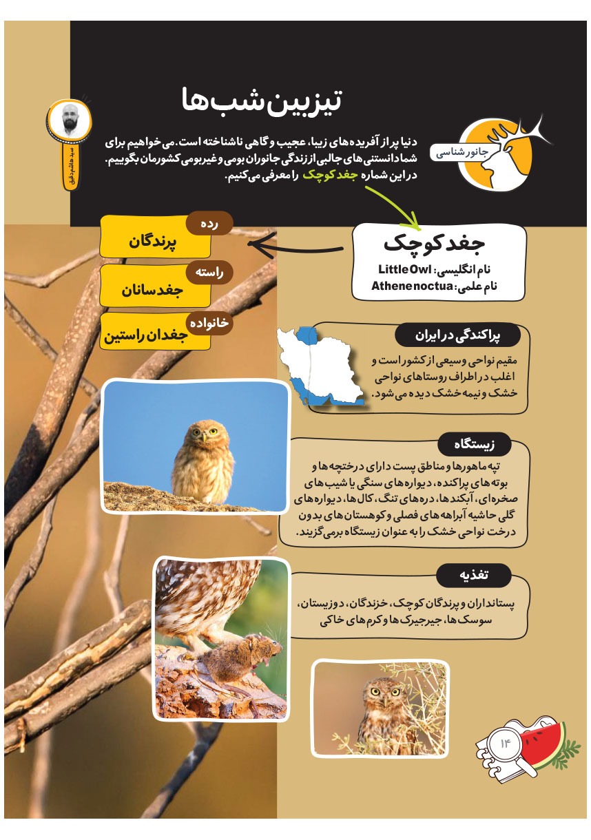 صفحه ۱۶