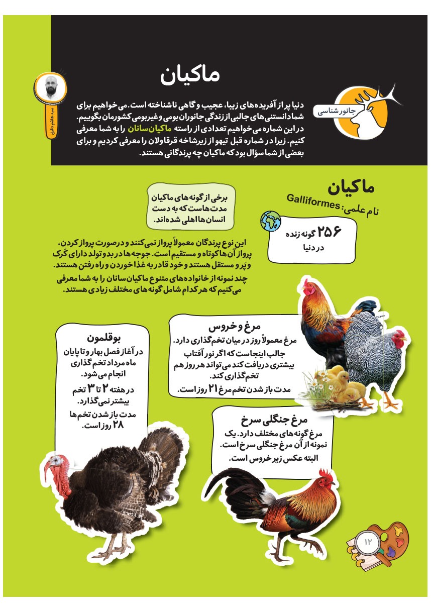 صفحه ۱۴