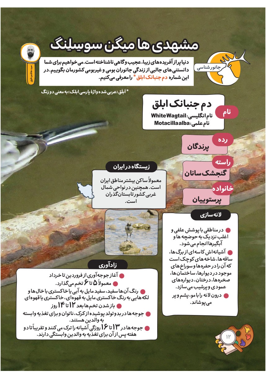 صفحه ۱۴