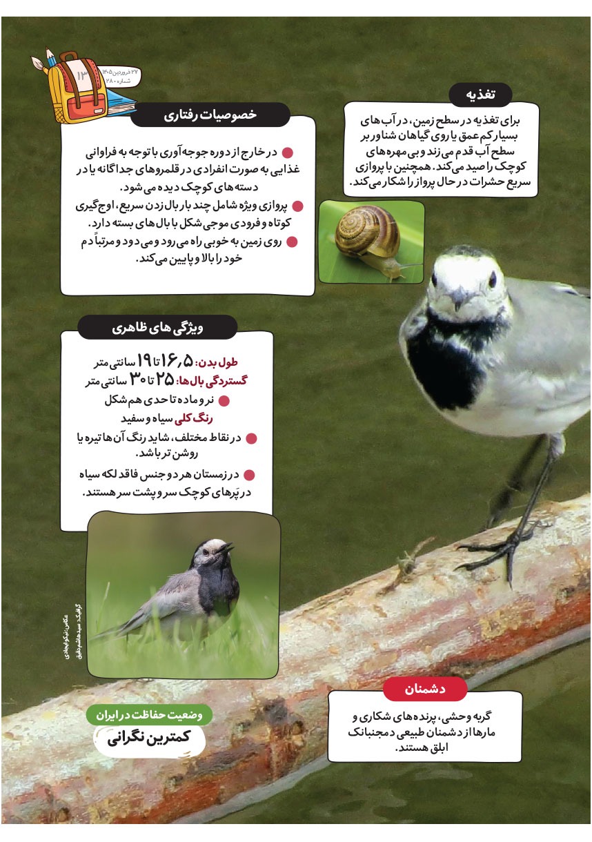 صفحه ۱۵