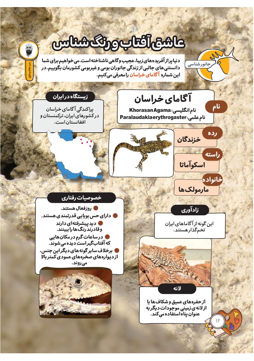صفحه ۱۴