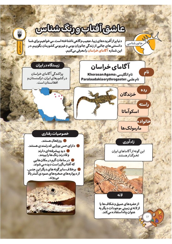 صفحه ۱۴