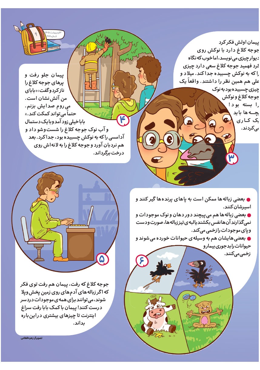 صفحه ۱۱