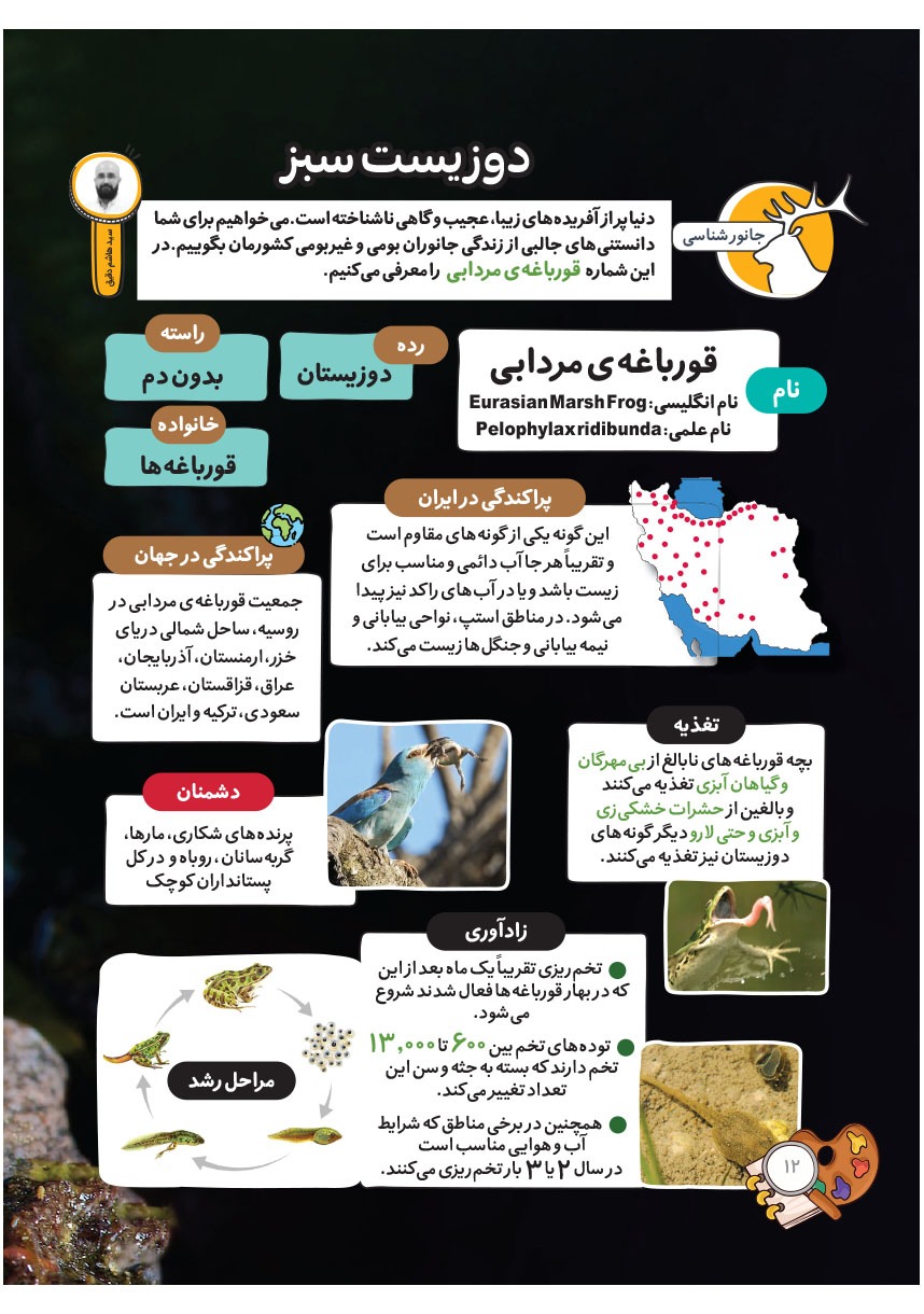 صفحه ۱۴