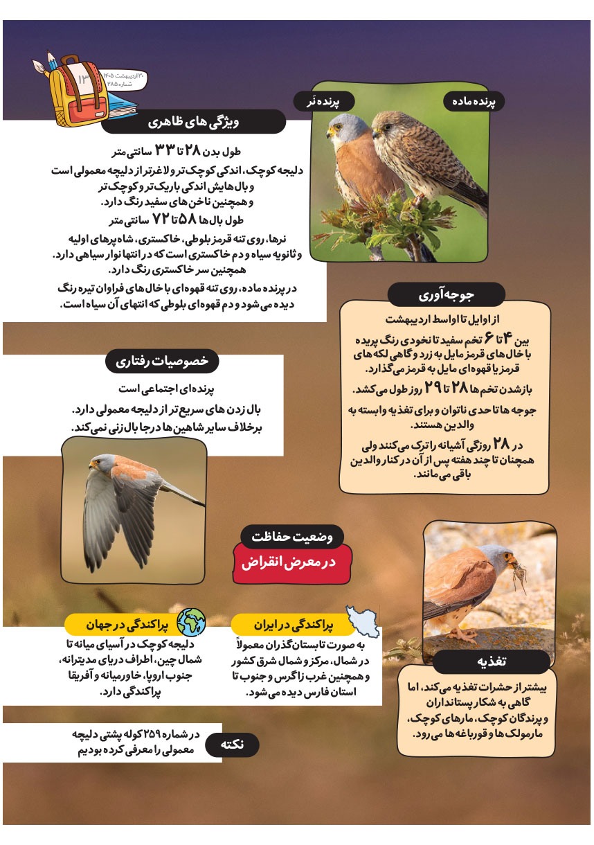 صفحه ۱۵