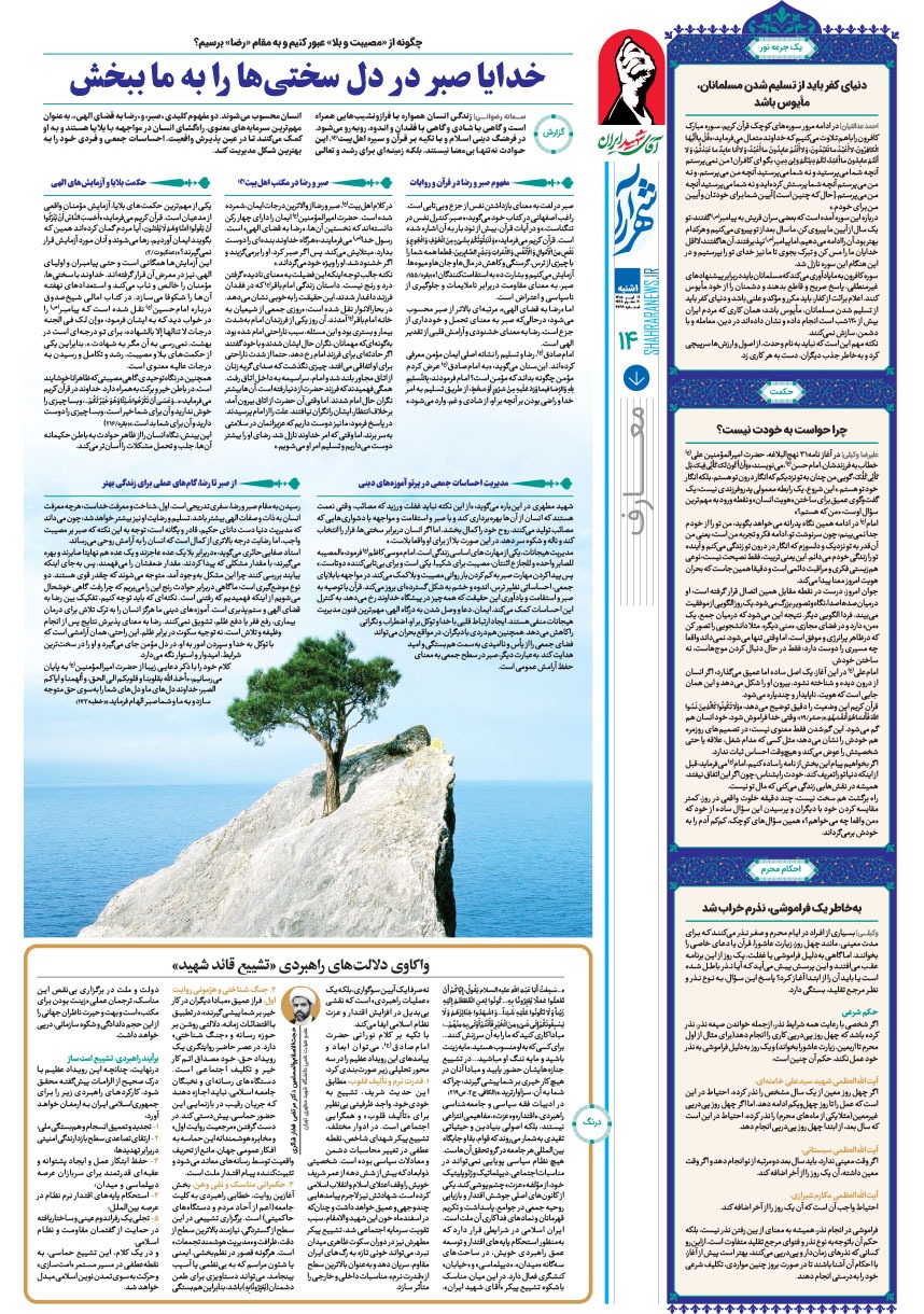 صفحه ۱۴