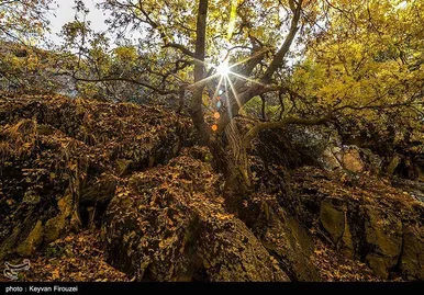 ایران زیباست | پاییز رنگارنگ کردستان