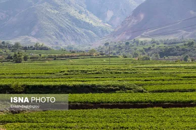 ایران زیباست | طبیعت بهاری «طارُم»، هندوستان ایران