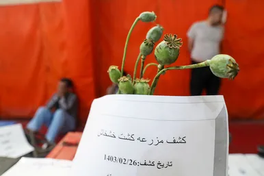 نمایشگاه کشفیات پلیس