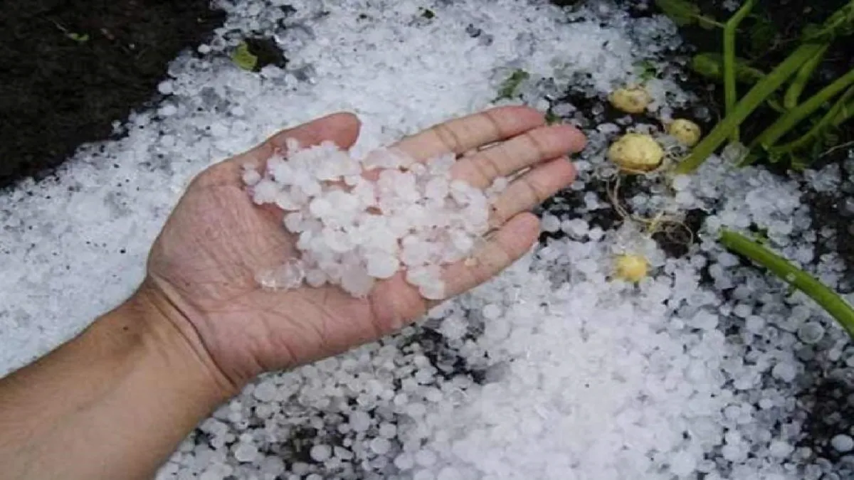 ویدئو | بارش شدید تگرگ در شهر سیل‌زده عربستان
