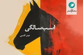 در لبه‌ خیال و زندگی | مجموعه شعر «اسب‌‌سالگی»، تازه‌ترین اثر حیدر کاسبی، منتشر می‌شود