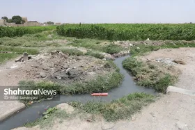 رئیس کمیسیون خدمات شهری شورای اسلامی شهر مشهد: دستگاه&zwnj;های دولتی به تعهداتشان در قبال تصفیه&zwnj;خانه سپتاژ عمل کنند