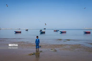 ایران زیباست | سواحل خلیج فارس