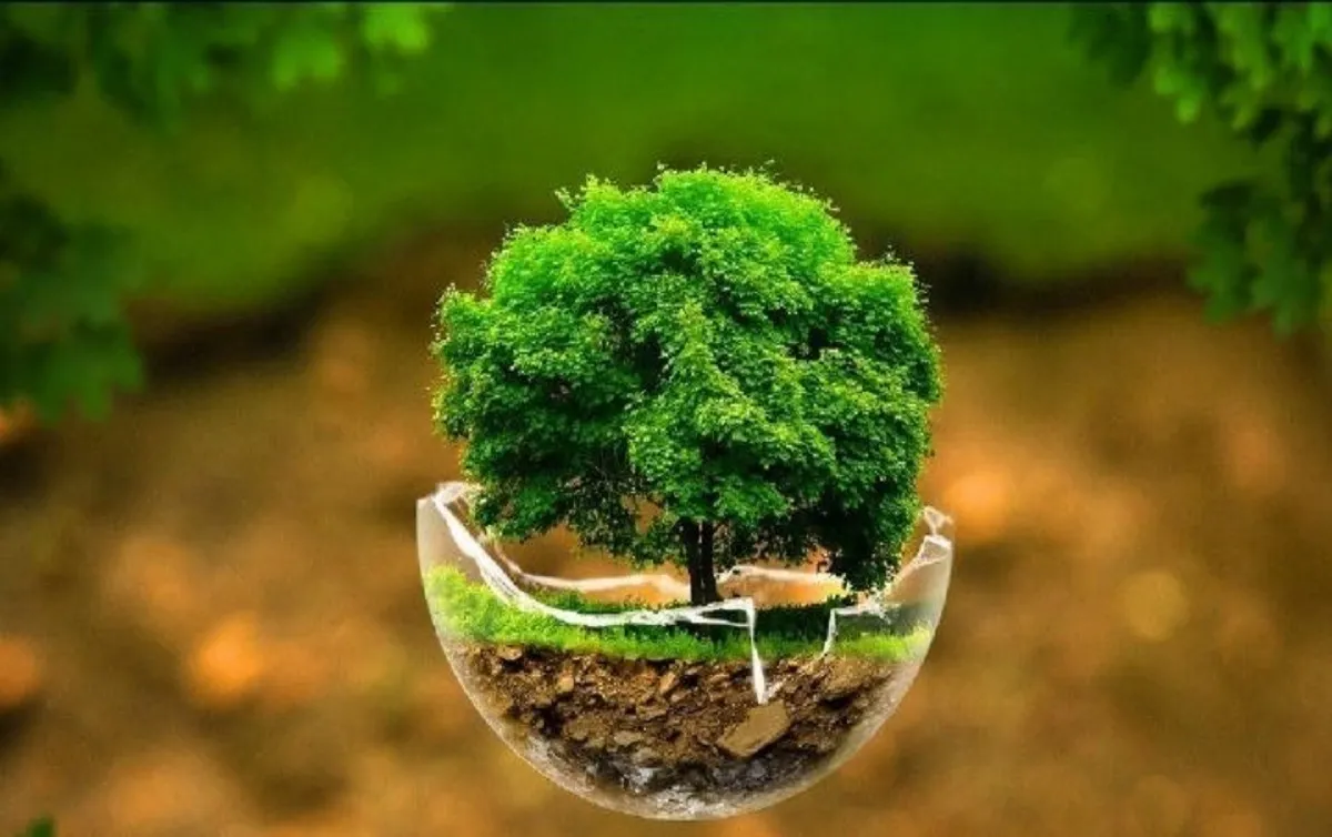 اینفوگرافی| ۶ کار ساده برای حفظ محیط‌زیست