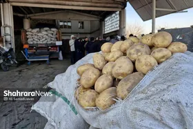 بازدید سرزده رئیس کمیسیون اصل ۹۰ مجلس از وضعیت توزیع و فروش سیب زمینی در میدان&zwnj;بار سپاد مشهد (۲۴ بهمن ۱۴۰۳) | سیب&zwnj;زمینی در مشهد تا ۱۰ روز آینده ارزان خواهد شد + فیلم