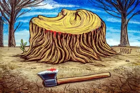 کارتون | در حاشیه قطع شبانه درختان کهنسال در روستای &laquo;سنو&raquo; خراسان رضوی