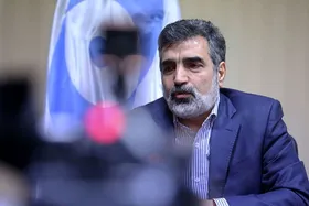 سخنگوی سازمان انرژی اتمی: پرونده هسته&zwnj;ای را بسیار پیچیده و سیاسی کرده&zwnj;اند