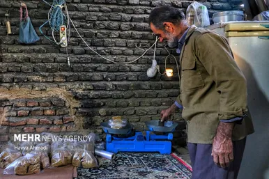 برداشت نیشکر در مازندران