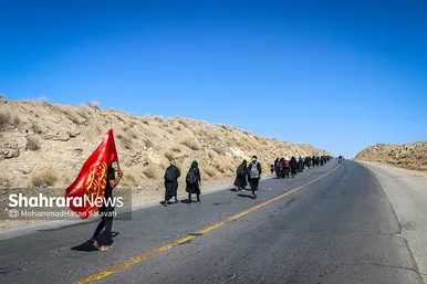 زائران پیاده در مسیر حرم مطهر رضوی