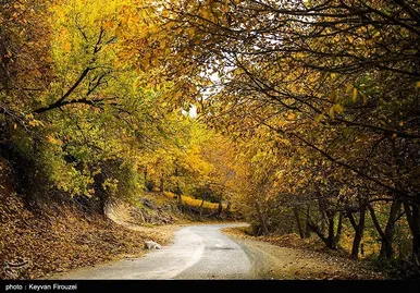 ایران زیباست | پاییز رنگارنگ کردستان