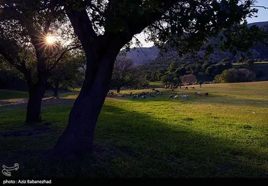 ایران زیباست | طبیعت بهاری منطقه دره اناران سپیدشت خرم آباد