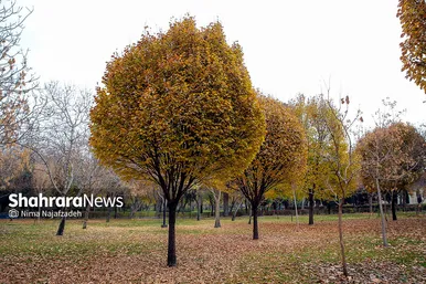 طبیعت پاییزی بوستان های مشهد