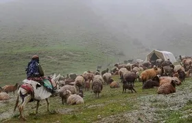 بوروکراسی&zwnj;های اداری سد راه توسعه گردشگری در کلات خراسان رضوی شده است