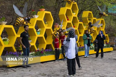نوروزگردی | استان گلستان