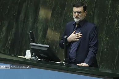 خداحافظی قاضی زاده هاشمی نماینده مشهد با مجلس