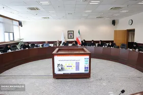 نایب&zwnj;رئیس کمیسیون بانوان و خانواده شورای اسلامی شهر مشهد: باید به امیدآفرینی در حوزه بانوان توجه شود