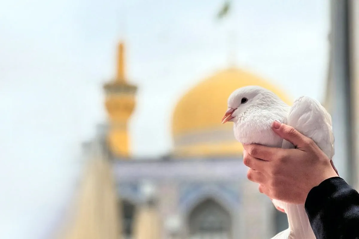 حمایت از مظلوم را از امام رضا (ع) یاد گرفته‌ایم